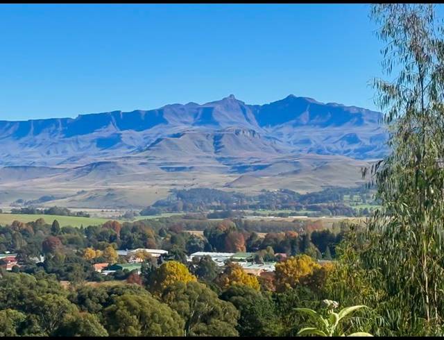 FARM FOR SALE IN UNDERBERG
